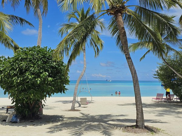 Découverte Innovante du Tourisme Écologique : Un Voyage Vert et Durable