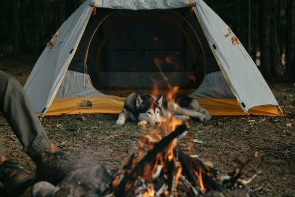Séjournez au camping gibanel : détente et nature en corrèze
